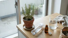 ローズマリーが元気をなくすのは水のやりすぎ？：過湿を整える基本と、薄めた過酸化水素の使い方